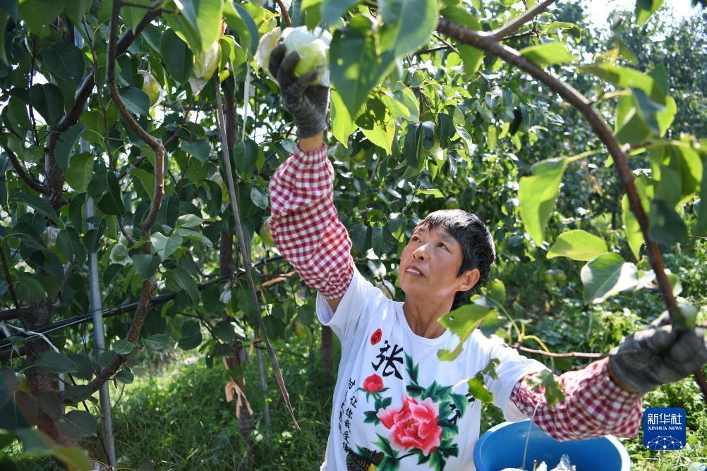 新濠账号注册